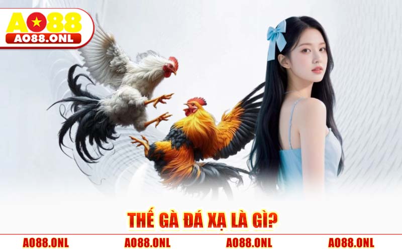 Thế Gà Đá Xạ – Tuyệt Kỹ Đòn Độc Vô Hình Và Sức Mạnh Hạ Gục AO88
