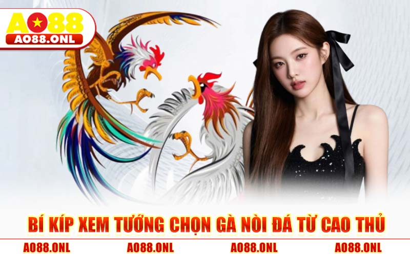 Bí Kíp Xem Tướng Chọn Gà Nòi Đá Từ Cao Thủ