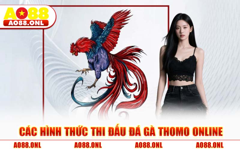 Các Hình Thức Thi Đấu Đá Gà Thomo Online