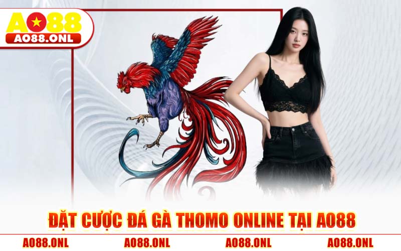 Đặt Cược Đá Gà Thomo Online Tại AO88