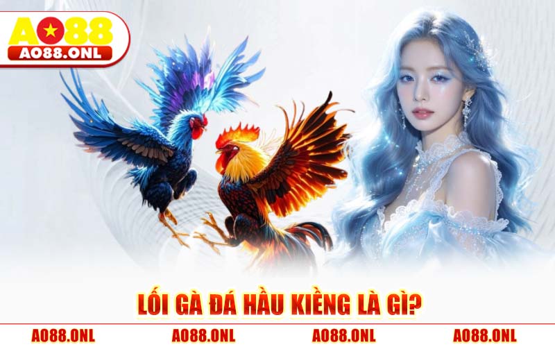 Gà Đá Hầu Kiềng AO88 – Phân Tích Lối Đá Sát Thương Đỉnh Cao