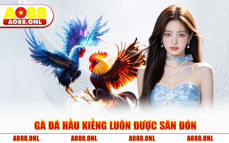 Gà Đá Hầu Kiềng Luôn Được Săn Đón