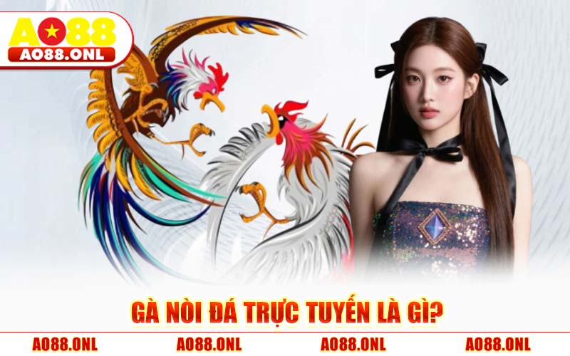 Gà Nòi Đá AO88 – Bí Kíp Chốt Kèo Trực Tuyến Hấp Dẫn