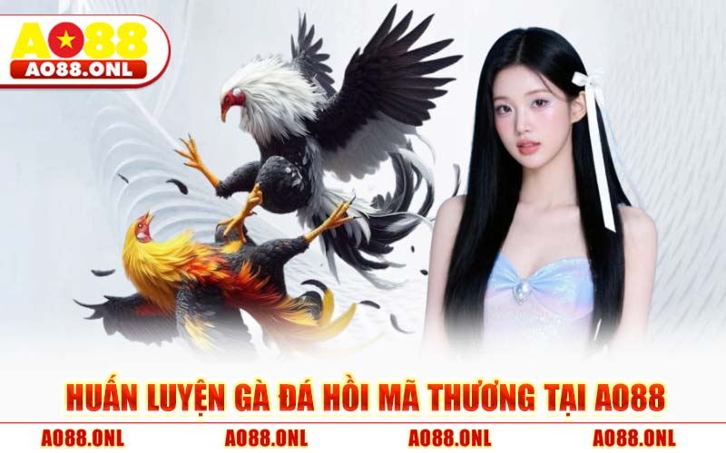 Huấn Luyện Gà Đá Hồi Mã Thương Tại AO88