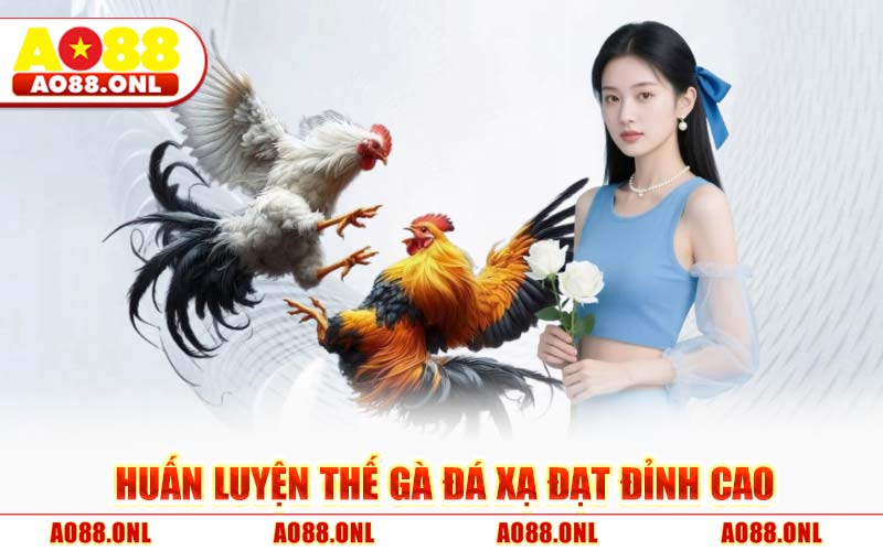 Huấn Luyện Thế Gà Đá Xạ Đạt Đỉnh Cao
