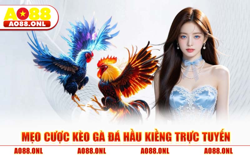 Mẹo Cược Kèo Gà Đá Hầu Kiềng Trực Tuyến