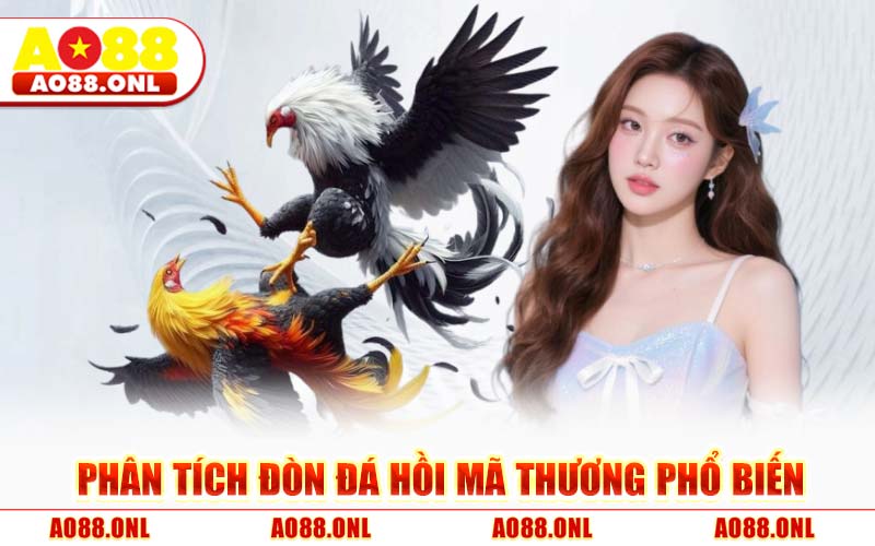 Phân Tích Đòn Đá Hồi Mã Thương Phổ Biến