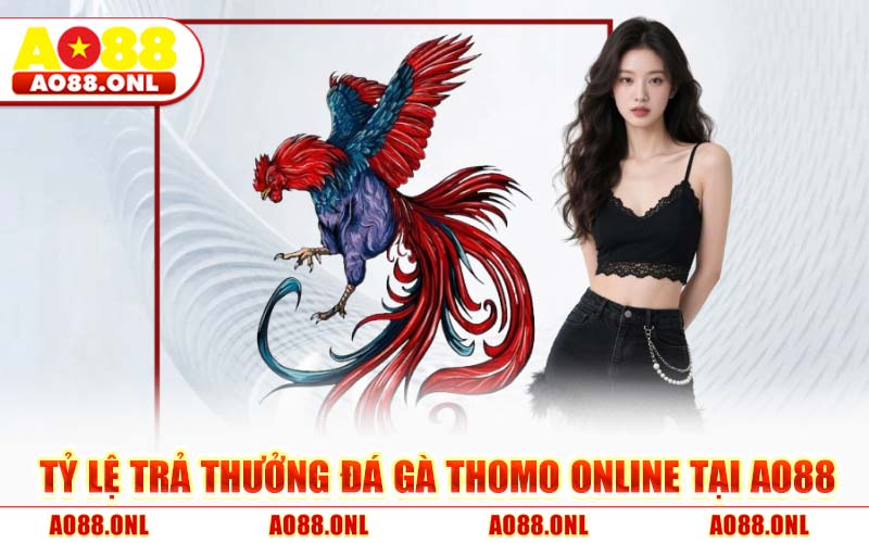 Tỷ Lệ Trả Thưởng Đá Gà Thomo Online Tại AO88